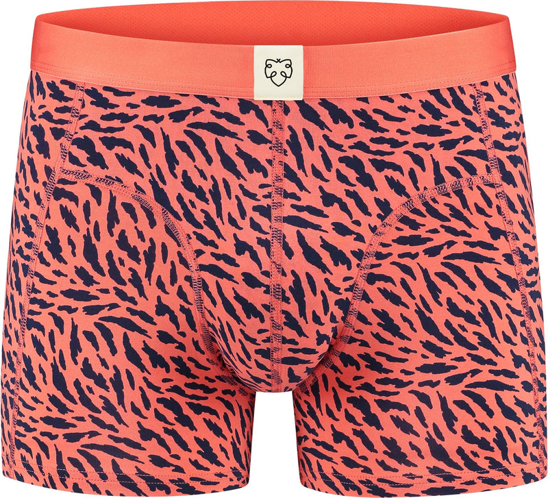 A-dam - ANI MALY Boxer Briefs