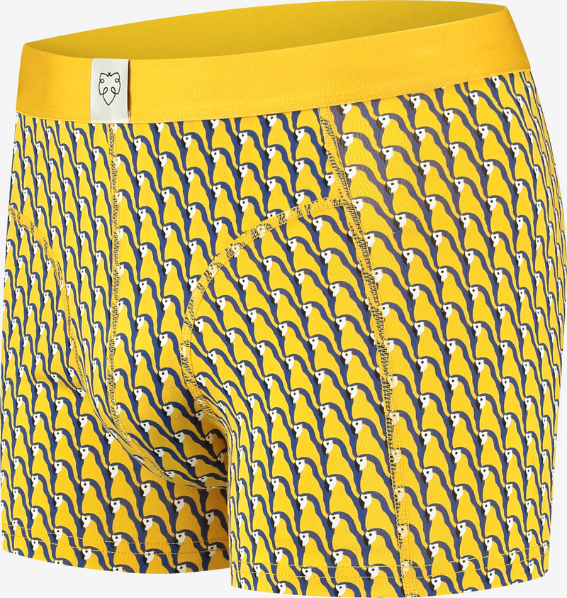 A-dam  - PARRY Boxer Briefs