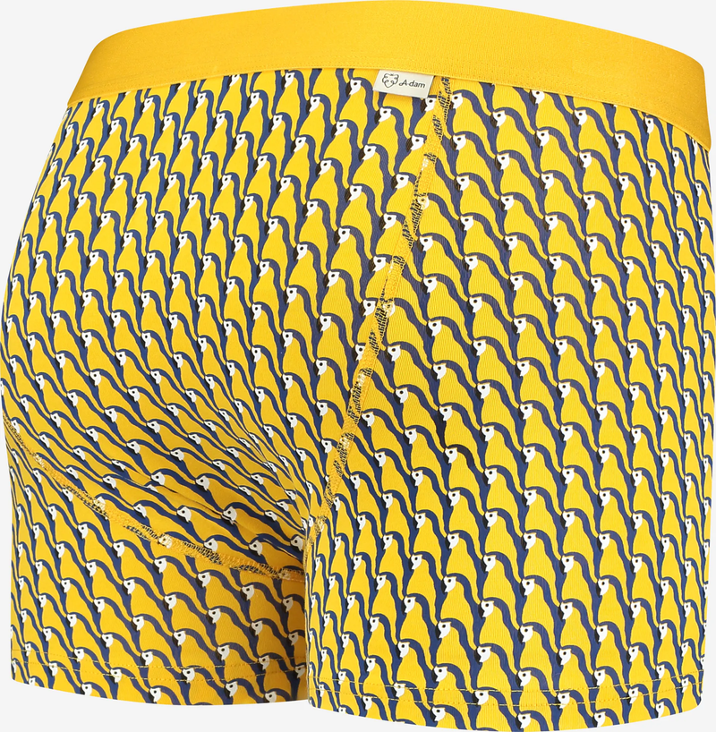 A-dam  - PARRY Boxer Briefs