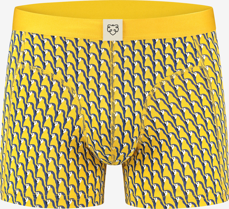 A-dam  - PARRY Boxer Briefs