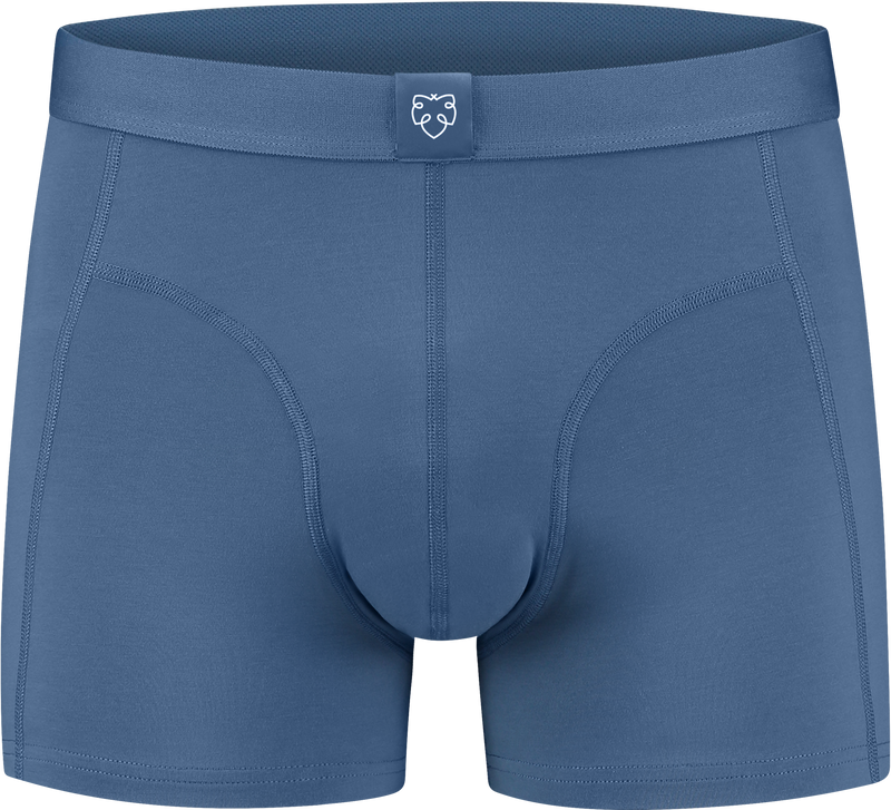 A-dam  - WIBI Basic Boxer Briefs Blue - Solid